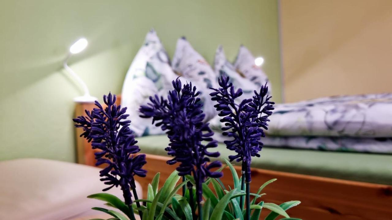 Ferienwohnung Gerersdorf Gerersdorf bei Güssing Extérieur photo