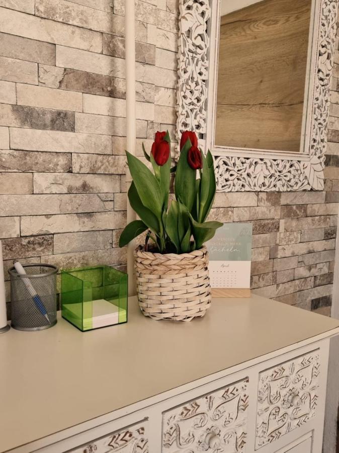 Ferienwohnung Gerersdorf Gerersdorf bei Güssing Extérieur photo